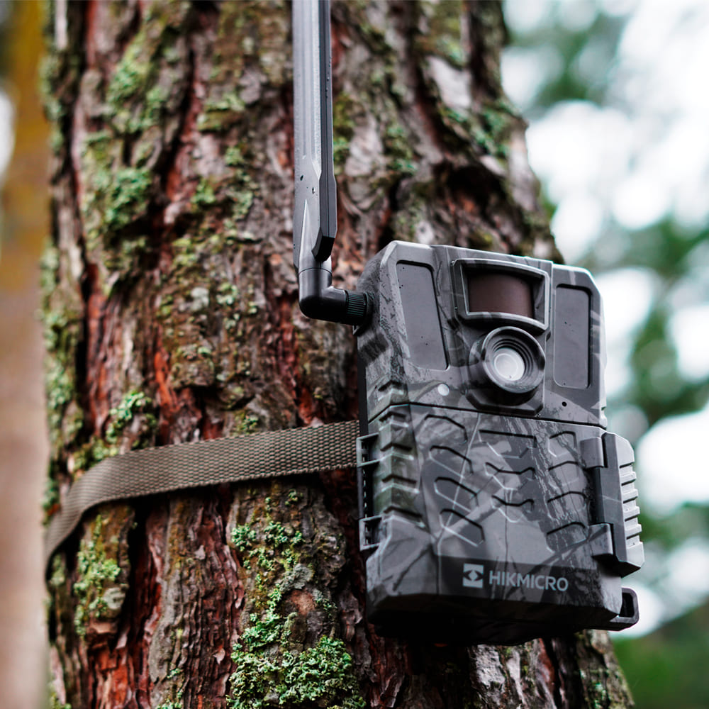 Cámara HIKMICRO de fototrampeo M15 4G IR 940 nm - Imagen 8