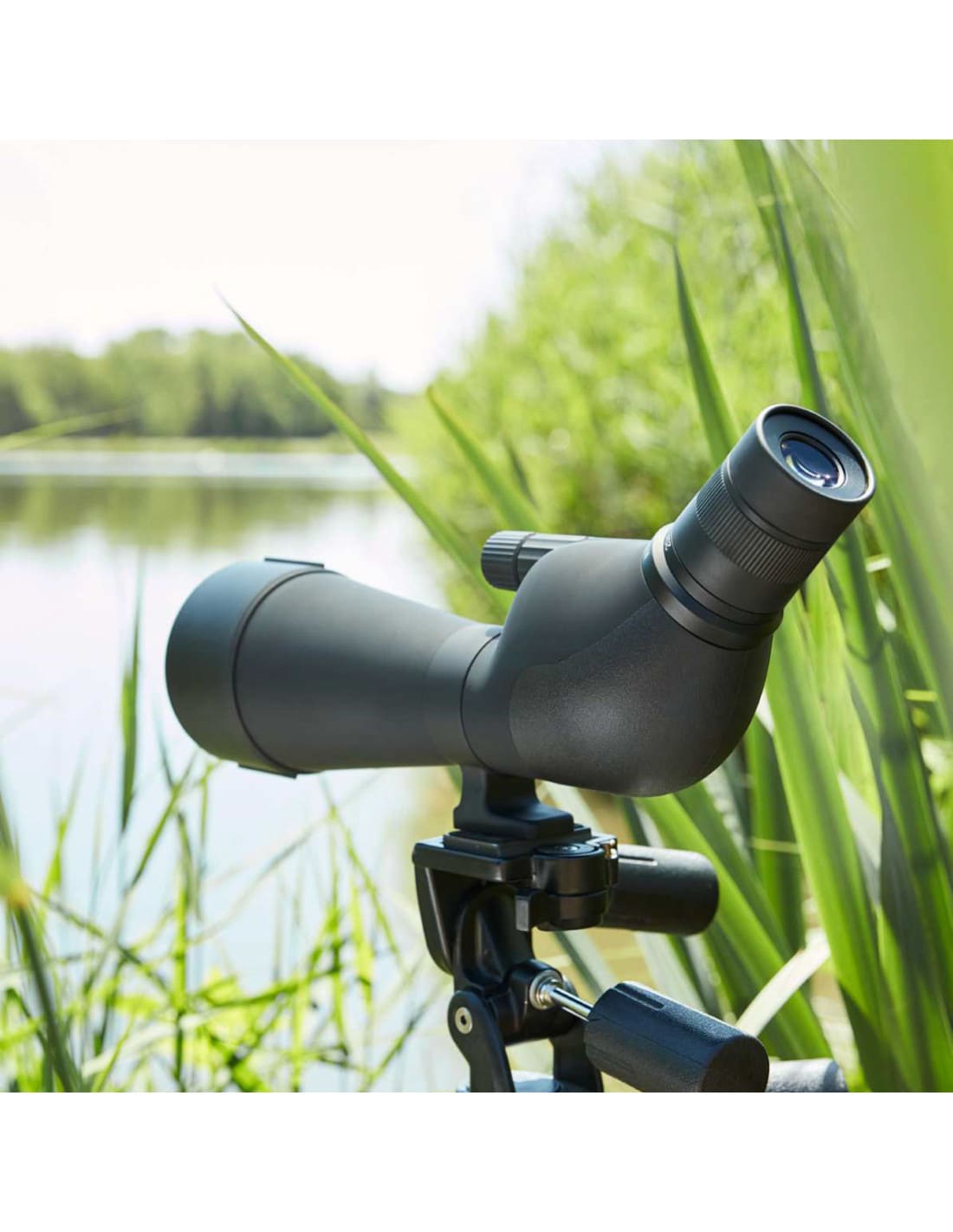Telescopio NOBLEX NS 20-60x80 ED - Imagen 4