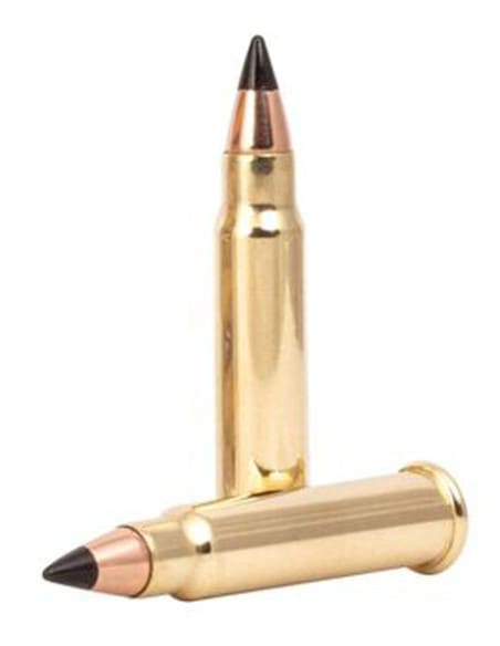 Munición metálica CCI V-MAX - 17 HMR - 17 grains - Imagen 2