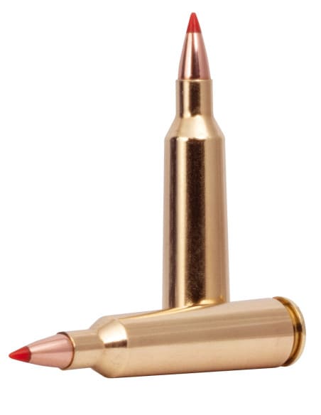 Munición metálica FEDERAL Varmint & Predator Hornady V Max - Imagen 2