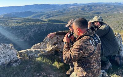 Calibre y visor para rececho de venado: lo que nadie te explicó antes de comprarlo