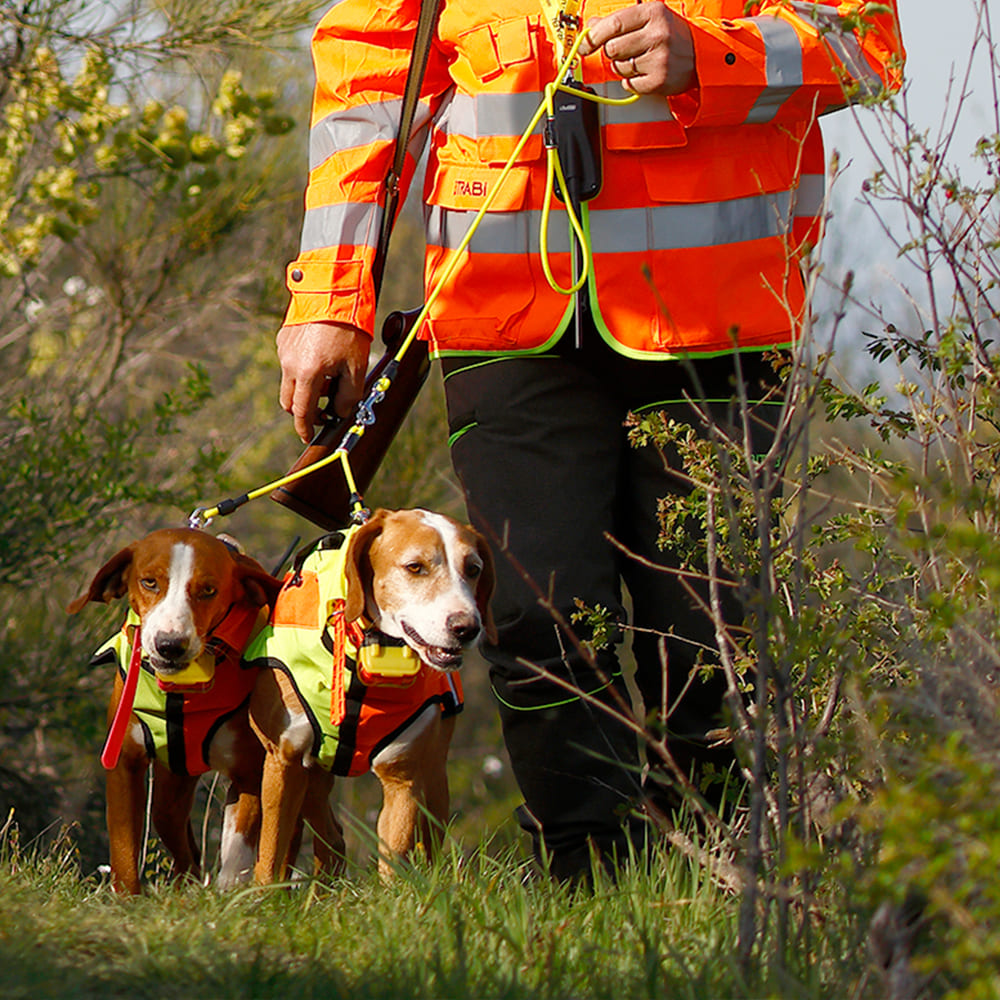 Chaleco protector para perros Sicur Dog BITRABI - Imagen 4