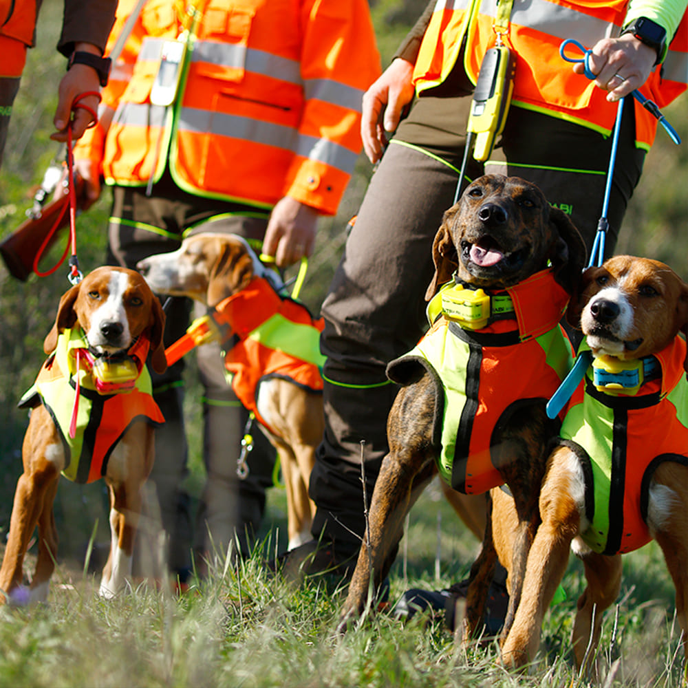 Chaleco protector para perros Sicur Dog BITRABI - Imagen 5