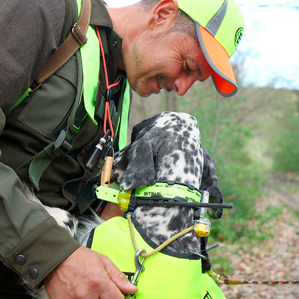 Collar GPS Mito 5100 + Mando localizador BS3003 Evomap Elite BITRABI COMBI Especial perros de muestra - Imagen 5