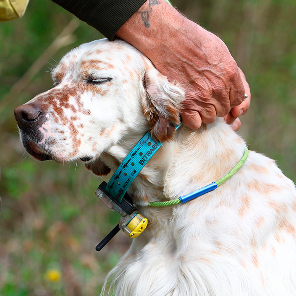 Collar GPS para perros de caza Mito 5100 Beeper + Mando localizador BS103 Legend BITRABI COMBI - Imagen 3