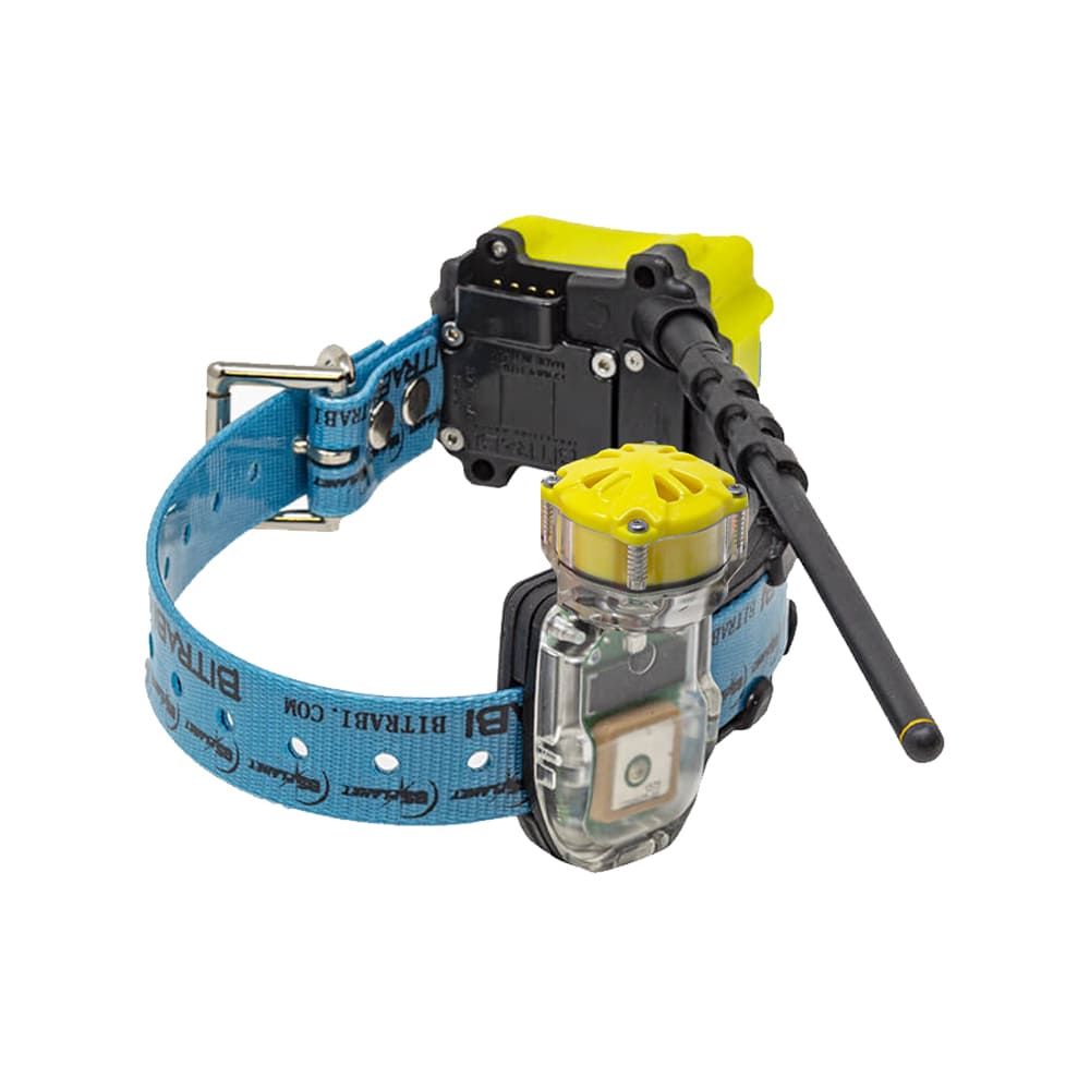 Collar Radio + GPS + Beeper para perros de caza MITO 5100 BITRABI - Imagen 2