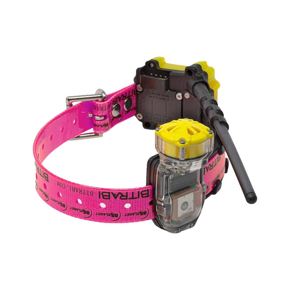 Collar GPS para perros de caza MITO 5300 BITRABI Beeper - Imagen 3